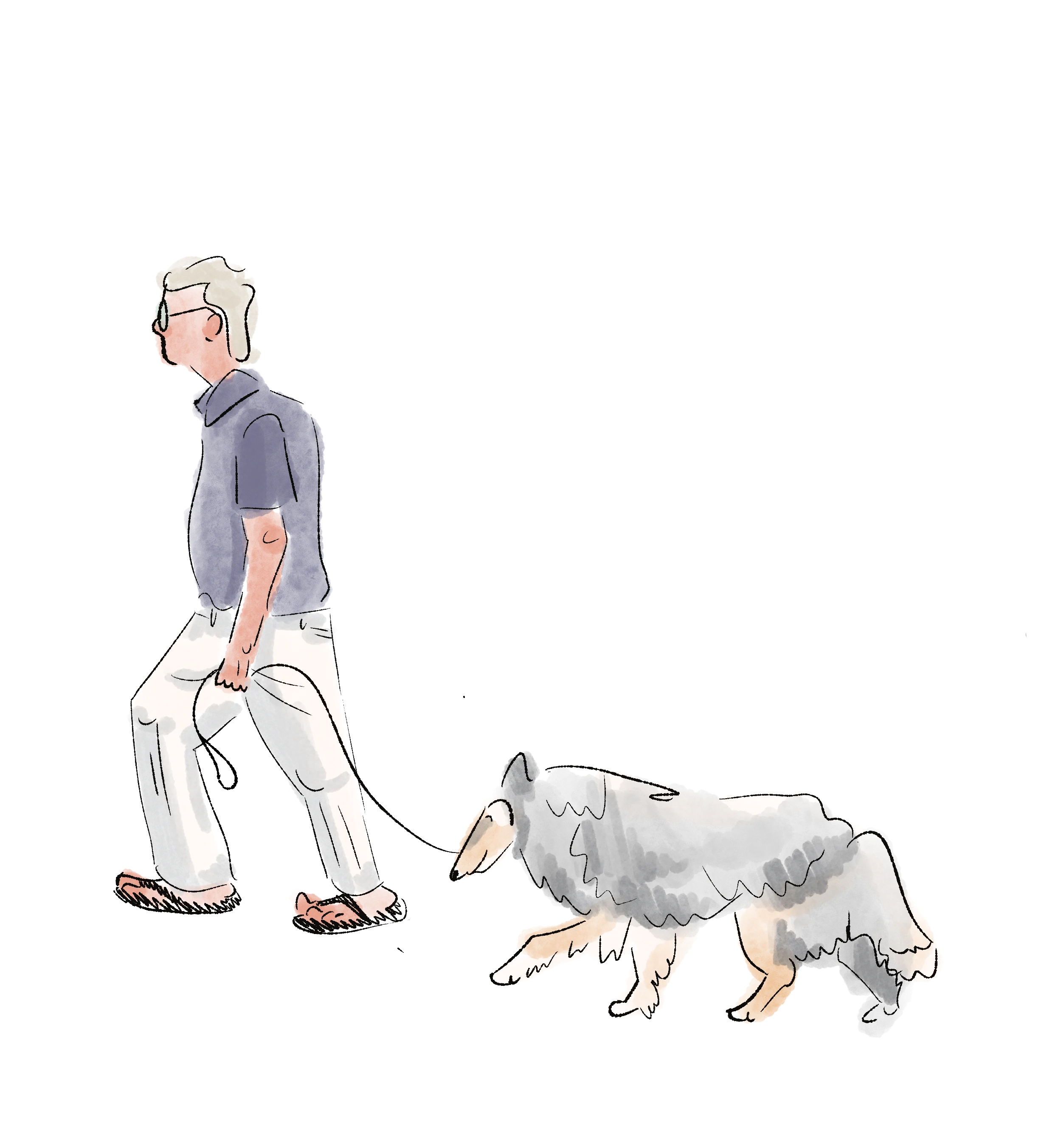 A man in flip flops walking with a Collie dog