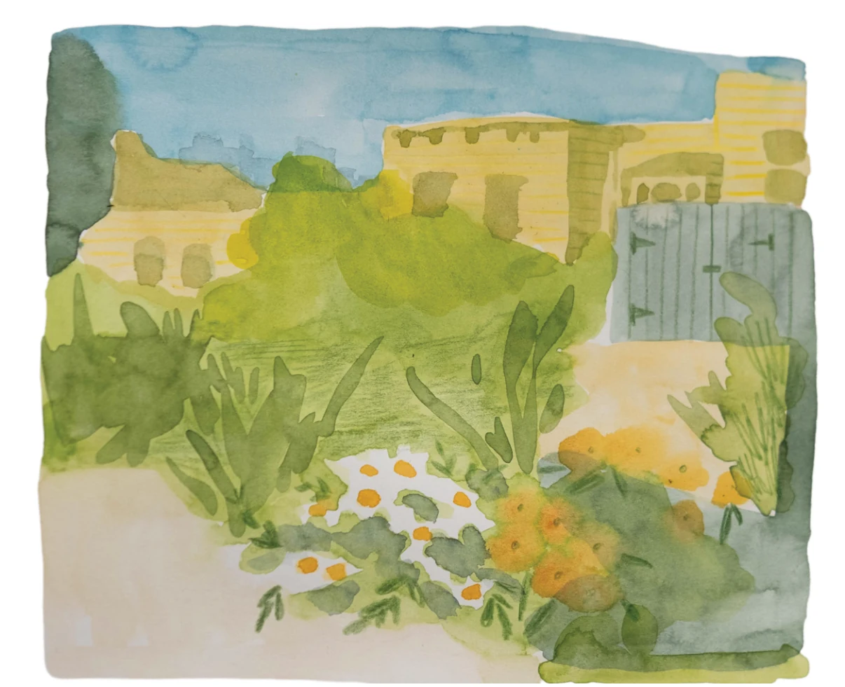 Watercolor illustration of the Koshland community garden.