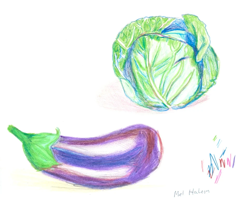 Cabbage and eggplant illustrations for the October seasonal produce column.