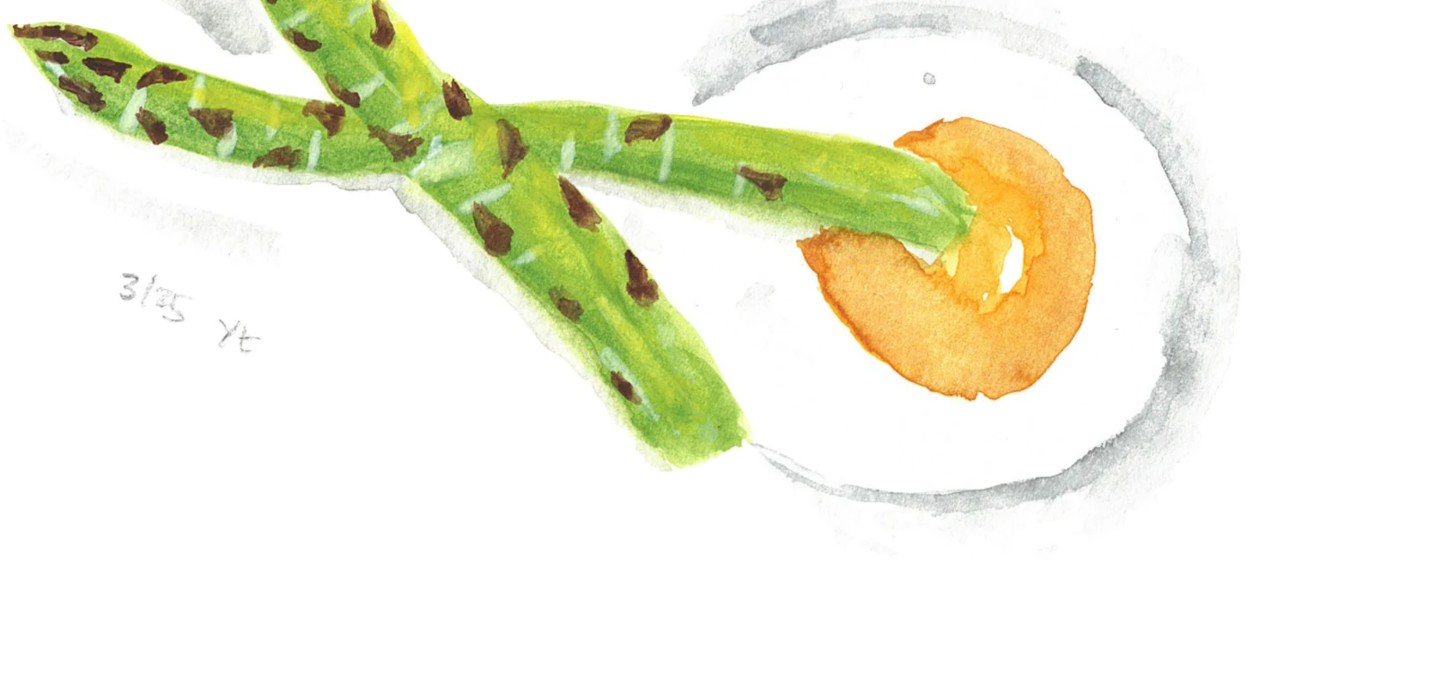 Poached egg and asparagus illustration, as printed