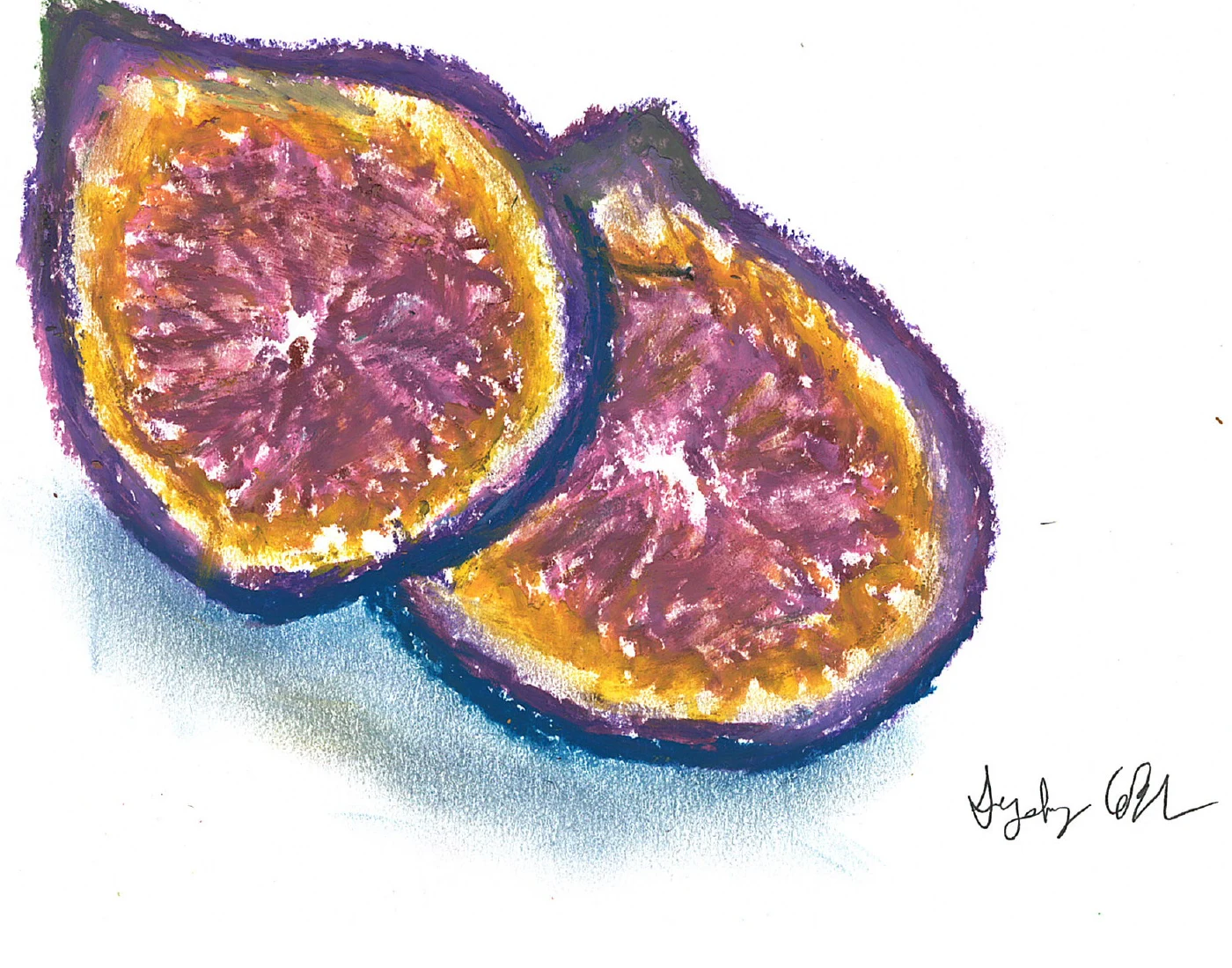 Hand-drawn sliced figs on a white page.